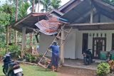 BPBD catat pohon tumbang timpa rumah dan sekolah di Padang Pariaman