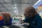 Dokter hewan mencatat bukti vaksinasi rabies dari kucing milik warga saat vaksinasi rabies gratis di Kelurahan Sepinggan Baru, Kota Balikpapan, Kalimantan Timur, Selasa (15/7/2025). Vaksinasi rabies gratis yang digelar oleh Dinas Ketahanan Pangan, Pertanian dan Perikanan (DKP3) Kota Balikpapan bertujuan untuk mencegah penyebaran rabies pada hewan peliharaan, dan mengurangi risiko penularannya ke manusia serta memberikan edukasi kepada masyarakat pentingnya menjaga kesehatan hewan peliharaan. Antara Kaltim/Aditya Nugroho/nz/mrh
