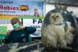 Dokter hewan menyiapkan vaksin rabies untuk kucing milik warga saat vaksinasi rabies gratis di Kelurahan Sepinggan Baru, Kota Balikpapan, Kalimantan Timur, Selasa (15/7/2025). Vaksinasi rabies gratis yang digelar oleh Dinas Ketahanan Pangan, Pertanian dan Perikanan (DKP3) Kota Balikpapan bertujuan untuk mencegah penyebaran rabies pada hewan peliharaan, dan mengurangi risiko penularannya ke manusia serta memberikan edukasi kepada masyarakat pentingnya menjaga kesehatan hewan peliharaan. Antara Kaltim/Aditya Nugroho/nz/mrh