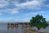 Sejumlah pondasi untuk pembangunan infrastruktur jembatan yang menghubungkan Batulicin dan Pulau Laut Kotabaru di Kabupaten Tanah Bumbu, Provinsi Kalimantan Selatan (Kalsel), Selasa (15/7/2025). Pemerintah Kabupaten (Pemkab) Tanah Bumbu dan Pemkab Kotabaru menganggarkan Rp100 miliar per tahun selama periode lima tahun, sedangkan Pemprov Kalsel mengalokasikan dana Rp300 miliar per tahun selama lima tahun untuk menyelesaikan jembatan sepanjang 6,5 kilometer tersebut. ANTARA/Sujud Mariono