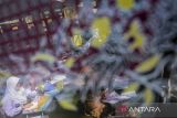 Siswa mengikuti lomba menggambar motif batik saat Festival Batik Tangerang di Desa Kemuning, Kabupaten Tangerang, Banten, Rabu (16/7/2025). Festival yang berlangsung selama tiga hari tersebut menampilkan kegiatan berupa belajar membuat batik, lomba menggambar motif batik serta pameran seni kriya sebagai upaya mengenalkan dan melestarikan batik sebagai warisan budaya Indonesia. ANTARA FOTO/Putra M. Akbar/gp