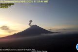 Gunung Semeru kembali erupsi dengan letusan setinggi 800 meter di atas puncak