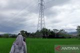 BMKG memprakirakan mayoritas kota besar Indonesia berawan-hujan Sabtu ini