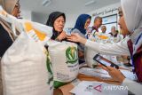 Petugas melakukan verifikasi data warga saat pendistribusian bantuan cadangan pangan di Kelurahan Cihapit, Bandung, Jawa Barat, Jumat (18/7/2025). Pemerintah Kota Bandung menyalurkan bantuan cadangan pangan dari Badan Pangan Nasional (Bapanas) berupa 10 kilogram beras kepada 85.167 warga di 151 yang ada kelurahan di Kota Bandung. ANTARA FOTO/Raisan Al Farisi/agr
