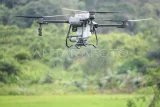 Sebuah drone menebarkan pupuk di areal persawahan di Sambutan, Samarinda, Kalimantan Timur, Jumat (18/7/2025). Digitalisasi pada sektor pertanian dengan platform drone tersebut dapat membantu petani untuk melakukan pemupukan dan pengendalian hama yang lebih efektif dan efisien dalam menghemat waktu dan tenaga sebagai upaya mendukung program smart farming di Samarinda. Antara Kaltim/M Risyal Hidayat