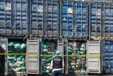 Petugas mengawasi barang bukti peti kemas berisi batu bara ilegal di kawasan Pelabuhan Tanjung Perak, Surabaya, Jawa Timur, Kamis (17/6/2025). Dittipidter Bareskrim Polri menyita 248 peti kemas berisi batu bara di kawasan Pelabuhan Tanjung Perak, Surabaya yang berasal dari penambangan illegal di kawasan Hutan Taman Raya Soeharto, Kecamatan Samboja, Kabupaten Kutai Kartanegara, Kalimantan Timur dan telah menetapkan tiga orang sebagai tersangka. Antara Kaltim/Didik Suhartono/agr/mrh