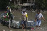 Nelayan membawa ikan hasil tangkapan menuju tempat pelelangan ikan (TPI) Lontar di Tirtayasa, Kabupaten Serang, Banten, Sabtu (19/7/2025). Kementerian Kelautan dan Perikanan mencatat realisasi investasi di sektor kelautan dan perikanan telah mencapai Rp2,38 triliun pada triwulan pertama 2025 yang terdiri dari Penanaman Modal Dalam Negeri (PMDN) sebesar Rp1,46 triliun serta Penanaman Modal Asing (PMA) sebesar Rp0,92 triliun. ANTARA FOTO/Angga Budhiyanto/gp