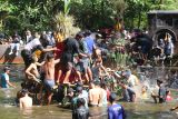 Warga berebut gunungan berisi hasil bumi saat tradisi Kebur Ubalan di kawasan wisata sumber air Ubalan, Kabupaten Kediri, Jawa Timur, Sabtu (19/7/2025). Upacara adat pada bulan Suro penanggalan Jawa tersebut guna melestarikan budaya leluhur agar mata air tetap mengalir sepanjang tahun untuk menompang irigasi pertanian sekaligus sebagai sarana promosi wisata. ANTARA Jatim/Prasetia Fauzani/mas.