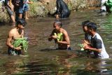 Warga membawa sayuran yang diambil dari gunungan hasil bumi saat tradisi Kebur Ubalan di kawasan wisata sumber air Ubalan, Kabupaten Kediri, Jawa Timur, Sabtu (19/7/2025). Upacara adat pada bulan Suro penanggalan Jawa tersebut guna melestarikan budaya leluhur agar mata air tetap mengalir sepanjang tahun untuk menompang irigasi pertanian sekaligus sebagai sarana promosi wisata. ANTARA Jatim/Prasetia Fauzani/mas.