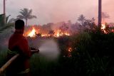 Disdamkarmat Natuna padamkan kebakaran hutan seluas 30 hektare