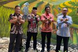 BSSN dukung upaya pengembangan digitalisasi layanan publik di Banggai Kepulauan