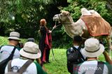 Sejumlah peserta memotret model dan satwa saat roadshow International Animal Photo and Video Competition (IAPVC) 2025 di TSI, Cisarua, Kabupaten Bogor, Jawa Barat, Sabtu (19/7/2025). Roadshow IAPVC 2025 tersebut merupakan rangkaian kegiatan kompetisi fotografi dan videografi satwa terbesar di Indonesia yang telah berlangsung selama lebih dari 34 tahun dengan mengambil tema The Picture of Secret Nature yang mengajak masyarakat untuk menyelami keindahan tersembunyi dunia satwa dan alam serta mengabadikannya dalam karya visual. ANTARA Megapolitan/Arif Firmansyah.