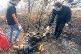 Nahas! Seorang petani tewas saat kebakaran lahan