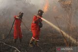 Riau tetapkan status tanggap darurat kebakaran hutan