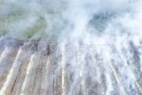 Foto udara asap api kebakaran hutan dan lahan (karhutla) mengepul di lahan gambut Desa Gambut Jaya, Muaro Jambi, Jambi, Selasa (22/7/2025). Belasan petugas Manggala Agni setempat dibantu masyarakat masih terus mengupayakan pemadaman yang telah memasuki hari ketiga dan diperkirakan telah meluas hingga menghanguskan 200 hektare lebih. ANTARA FOTO/Wahdi Septiawan/rwa.
