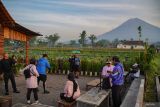 Wisatawan mengunjungi Desa Wisata Sumberurip, Kecamatan Pronojiwo, Lumajang, Jawa Timur, Rabu (23/7/2025). Desa di kaki Gunung Semeru yang memiliki sejumlah potensi wisata dengan perpaduan pemandangan alam dan gunung tersebut dimanfaatkan oleh warga setempat untuk memberikan paket perjalanan wisata seperti  jelajah desa dan susur aliran sungai menggunakan jip, lokasi berkemah, agrowisata juga sajian hidangan kuliner khas setempat. Antara Jatim/Irfan Sumanjaya/um