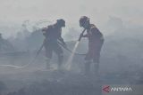 BNPB to deploy choppers to combat Jambi fires: Governor