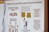 Anak keluarga perokok rentan alami stunting