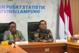 BPS sebut garis kemiskinan di Lampung Rp612.451 per kapita pada Maret 2025
