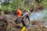 BPBD akui karhutla mulai terjadi di Kotim