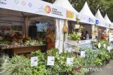 Peserta menunggu calon pembeli saat pameran UMKM dan festival kuliner 