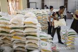 Petugas menata beras yang akan disalurkan untuk warga di Kantor Kecamatan Petir, Kabupaten Serang, Banten, Jumat (25/7/2025). Perum Bulog Serang menyalurkan bantuan pangan berupa beras 20 kilogram per penerima pada Juni-Juli 2025 di tiga daerah yaitu Kota Serang, Kabupaten Serang, dan Kota Cilegon dengan jumlah penerima manfaat mencapai 106.488 orang. ANTARA FOTO/Muhammad Bagus Khoirunas/gp