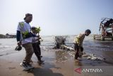 Siswa sekolah membawa bibit mangrove untuk ditanam di pantai Karangsong Indramayu, Jawa Barat, Sabtu (26/7/2025). Kegiatan yang digelar Kumpulan Lembaga Peduli Lingkungan (KLPL) itu digelar dalam rangka memperingati Hari Mangrove Sedunia dengan menanam 5.000 bibit mangrove, aksi bersih pantai dan pelepasan benih rajungan. ANTARA FOTO/Dedhez Anggara/agr