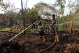 Petugas pemadam kebakaran menyemprotkan air ke lahan gambut untuk membasahi area kebakaran hutan dan lahan (karhutla) di kawasan Jalan Purnama II, Pontianak, Kalimantan Barat, Jumat (25/7/2025). BMKG Kalbar mengimbau masyarakat untuk mewaspadai potensi kemudahan terjadinya karhutla di sebagian wilayah Kalimantan Barat pada 25-31 Juli 2025. ANTARA FOTO/Jessica Wuysang/tom. 