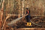 Petugas pemadam kebakaran menyemprotkan air ke lahan gambut untuk membasahi area kebakaran hutan dan lahan (karhutla) di kawasan Jalan Purnama II, Pontianak, Kalimantan Barat, Jumat (25/7/2025). BMKG Kalbar mengimbau masyarakat untuk mewaspadai potensi kemudahan terjadinya karhutla di sebagian wilayah Kalimantan Barat pada 25-31 Juli 2025. ANTARA FOTO/Jessica Wuysang/tom. 