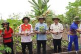Wagub NTT mengapresiasi program pengelolaan kebun holtikultura di Mabar