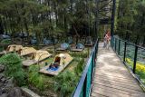 Pengunjung menikmati suasana wisata hutan pinus Jolotundo di Bajulan, Nganjuk, Jawa Timur, Senin (28/7/2025). Wisata alam di lereng Gunung Wilis yang merupakan kerja sama Perhutani itu menjadi potensi wisata unggulan yang dapat meningkatkan perekonomian masyarakat di kawasan tersebut. Antara Jatim/Muhammad Mada/um