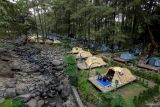 Pengunjung menikmati suasana wisata hutan pinus Jolotundo di Bajulan, Nganjuk, Jawa Timur, Senin (28/7/2025). Wisata alam di lereng Gunung Wilis yang merupakan kerja sama Perhutani itu menjadi potensi wisata unggulan yang dapat meningkatkan perekonomian masyarakat di kawasan tersebut. Antara Jatim/Muhammad Mada/um
