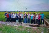 Penyaluran Dana Desa di Pasaman Barat hingga 27 Juli Rp57,3 miliar