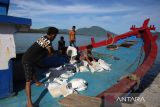 Pekerja memuat bantuan pangan beras ke kapal nelayan di pelabuhan lama penyeberangan Ulee Lheue, Banda Aceh, Aceh, Senin (28/7/2025).Perum Bulog Aceh mengapalkan bantuan pangan beras sebanyak 13 ton menggunanakan kapal nelayan ke  wilayah terluar kecamatan Pulau Aceh, kabupaten Aceh Besar, untuk disalurkan kepada sebanyak  667 Penerima Bantuan Pangan (PBP) yang tersebar di 17  gampong (desa) periode Juni dan Juli 2025.  ANTARA FOTO/Ampelsa.