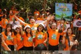 Cleo tanam 15.000 mangrove sambut Hari Mangrove sedunia