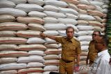 Wali Kota Bogor Dedie Rachim (kiri) berbincang bersama Sekda Kota Bogor Denny Mulyadi (tengah) dan Kepala Kantor Cabang Bulog Dramaga Ilhamsyah (kanan) saat kunjungan ke komplek pergudangan Bulog, Dramaga, Kabupaten Bogor, Jawa Barat, Senin (28/7/2025). Kunjungan tersebut dilakukan untuk memastikan ketersediaan stok pangan khususnya beras guna mendukung program bantuan pangan bagi masyarakat Kota Bogor yang jumlahnya sekitar 800 ton yang sudah mulai disalurkan dan ditargetkan rampung pada pertengahan Agustus 2025. ANTARA Megapolitan/Arif Firmansyah.