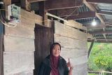 607 KK Desa Olu Sulteng merasakan akses listrik PLN