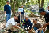 PLN Batam bangun fasilitas dan aksi penghijauan di kawasan agrowisata