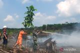 BPBD masih lakukan pemadaman karhutla di Muara Enim, terbakar sejak Sabtu