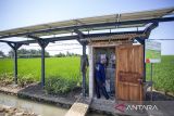 Petani setempat melakukan perawatan instalasi pembangkit listrik tenaga surya (PLTS) untuk mesin pompa air irigasi di persawahan desa Juntinyuat, Indramayu, Jawa Barat, Kamis (31/7/2025). Petani memanfaatkan Pembangkit Listrik Tenaga Surya (PLTS) dengan total daya sebesar 7,7 Kilowatt (kWp) bantuan dari Pertamina Gas OWJA sebagai sumber energi untuk menyalakan mesin pompa air irigasi yang mengairi 30 hektar lahan sawah tadah hujan di wilayah itu. ANTARA FOTO/Dedhez Anggara/agr