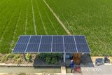 Foto udara petani setempat melakukan perawatan instalasi pembangkit listrik tenaga surya (PLTS) untuk mesin pompa air irigasi di persawahan desa Juntinyuat, Indramayu, Jawa Barat, Kamis (31/7/2025). Petani memanfaatkan Pembangkit Listrik Tenaga Surya (PLTS) dengan total daya sebesar 7,7 Kilowatt (kWp) bantuan dari Pertamina Gas OWJA sebagai sumber energi untuk menyalakan mesin pompa air irigasi yang mengairi 30 hektar lahan sawah tadah hujan di wilayah itu. ANTARA FOTO/Dedhez Anggara/agr