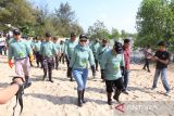 General Manager PT PLN (Persero) UIW Bangka Belitung  Dini Sulistyawati  bersama Forkopimda Babel saat menuju tempat penanaman 10.000 bibit mangrove di Pantai Penyak Kabupaten Bangka Tengah pada Jumat (1/8/2025). Penanaman 10.000 mangrove tersebut adalah bagian dari transformasi PLN menuju energi yang lebih hijau. Acara yang bertema 