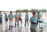 PT PLN (Persero) Unit Induk Wilayah Bangka Belitung melakukan penanaman 10.000 bibit mangrove di Pantai Penyak Kabupaten Bangka Tengah pada Jumat (1/8/2025). Penanaman 10.000 mangrove tersebut adalah bagian dari transformasi PLN menuju energi yang lebih hijau. Acara yang bertema 