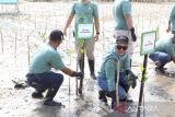 General Manager PT PLN (Persero) UIW Bangka Belitung  Dini Sulistyawati  saat melakukan penanaman bibit mangrove di Pantai Penyak Kabupaten Bangka Tengah pada Jumat (1/8/2025). Penanaman 10.000 mangrove tersebut adalah bagian dari transformasi PLN menuju energi yang lebih hijau. Acara yang bertema 