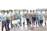 PT PLN (Persero) Unit Induk Wilayah Bangka Belitung melakukan penanaman 10.000 bibit mangrove di Pantai Penyak Kabupaten Bangka Tengah pada Jumat (1/8/2025). Penanaman 10.000 mangrove tersebut adalah bagian dari transformasi PLN menuju energi yang lebih hijau. Acara yang bertema 