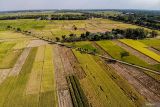 Foto udara sejumlah petani memanen padi di Patianrowo, Nganjuk, Jawa Timur, Jumat (1/8/2025). Badan Pusat Statistik (BPS) mencatat pada Juni 2025, luas panen padi Indonesia mencapai 0,79 juta hektare dengan produksi padi diperkirakan sebanyak 3,96 juta ton gabah kering giling (GKG) yang jika dikonversikan menjadi beras diperkirakan mencapai sekitar 2,28 juta ton beras untuk dikonsumsi pangan penduduk. ANTARA Jatim/Muhammad Mada/mas.