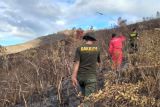 KPHL: seluruh titik karhutla di Bukit Teletabis Pasaman sudah padam