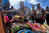 Mahasiswa UGM menutup rangkaian KKN di Manokwari dengan festival budaya