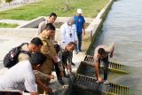 LKBN ANTARA dan Pemkab Samosir melepas ribuan bibit ikan di Danau Toba