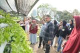 Munafri targetkan Kota Makassar jadi pusat eksibisi pertanian perkotaan